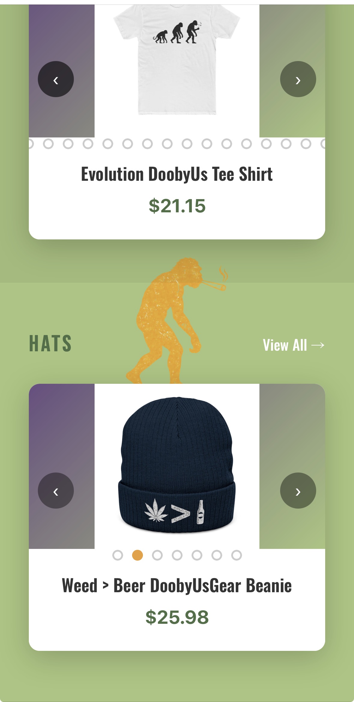 Web Design Preview 1